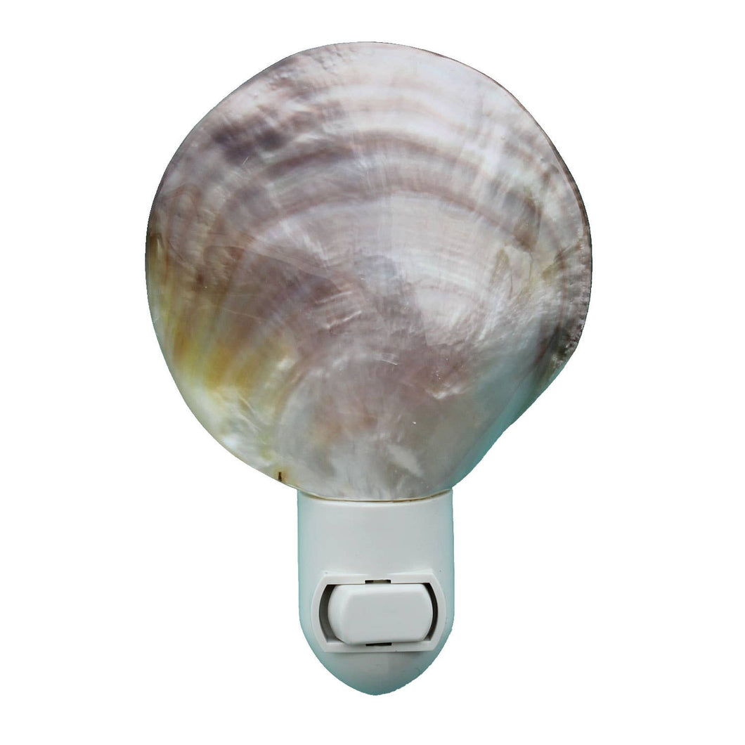 Mother of Pearl Seashell Night Light