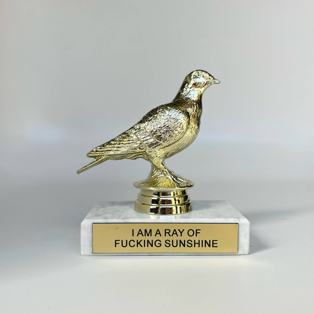 I Am a Ray of Fucking Sunshine Participation Trophy