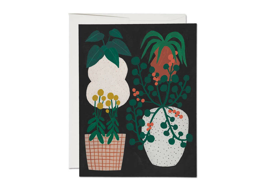 Indoor Plants everyday greeting card